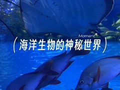-太平洋海底世界