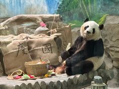 -灵玲国际马戏城