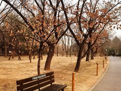 -国家植物园南园