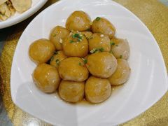 苕粉坨-旅宁大酒店