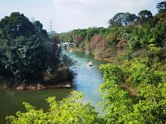 -水濂山森林公园