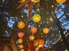 -巴倒烫陆派火锅山庄(南山总店)