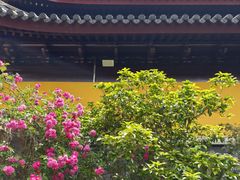 -西林禅寺
