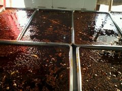 -小天鹅火锅·一线江景洪鼎旗舰店(洪崖洞店)