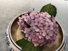 -南堂馆·新川菜(天府三街店)