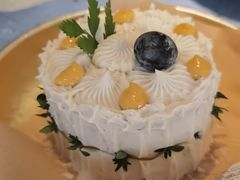 -野草莓自由市场