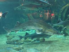 -华夏文旅海洋公园