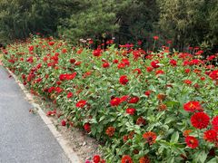 -永定河休闲森林公园