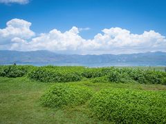 -大理洱海