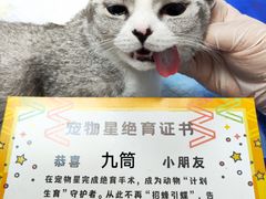 -宠物星动物医院·眼科·异宠·猫科(江南大道总院)