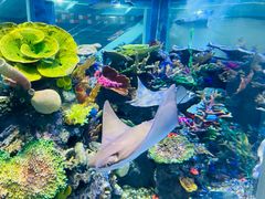 -成都浩海立方海洋公园