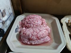 脑花-化龙桥九宫格火锅(清水河店)