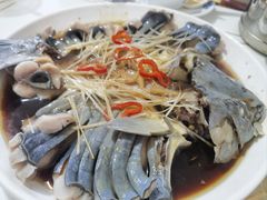 -煲来饱去冷水鱼