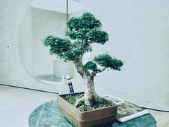 -二酉书店TOYOU BOOKS