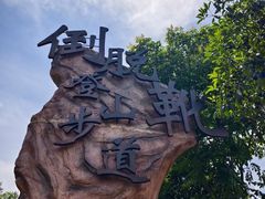 -十九峰景区-倒脱靴