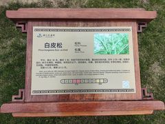 -西海子公园