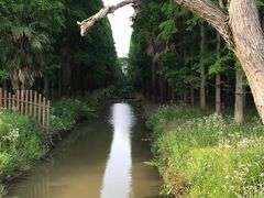 -东平国家森林公园