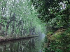 -合肥滨湖国家森林公园