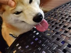 -blue frog蓝蛙(长泰广场店)