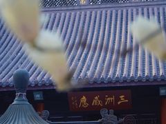 -灵谷景区