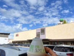 -新罗免税店(首尔总店)