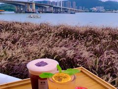-九江双蒸博物馆