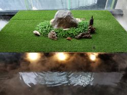 -苏州希尔顿酒店-宴会厅