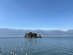 -小普陀