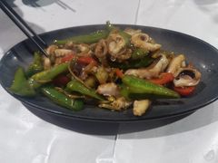 爆炒八爪鱼-阿尔法海鲜排档(爱琴海店)