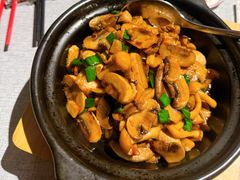 -星·South Beauty·俏江南(国贸店)