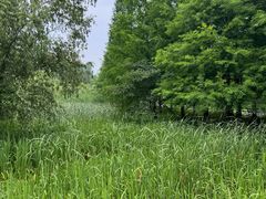 -昆山城市生态森林公园