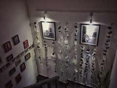 -阿狗圆子