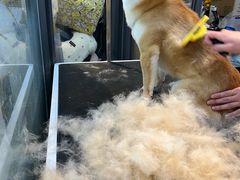-萌兽医馆·眼科·异宠专科(三里屯店)
