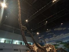 -自贡恐龙博物馆