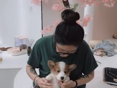 -浣熊柯尔鸭土拨鼠·电玩咖