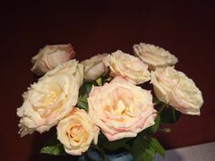 -都氏家DUSJOY(翡翠城店)