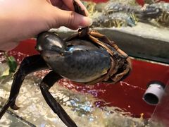 -大树下海鲜饭店