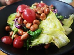 炒豆家大拌菜-炒豆合作社(东四总店)