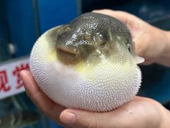 -永安鱼庄·镇江菜(丁卯店)