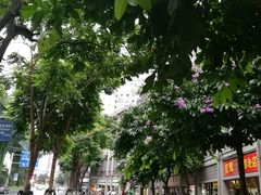 -明月虾面(厦禾路店)