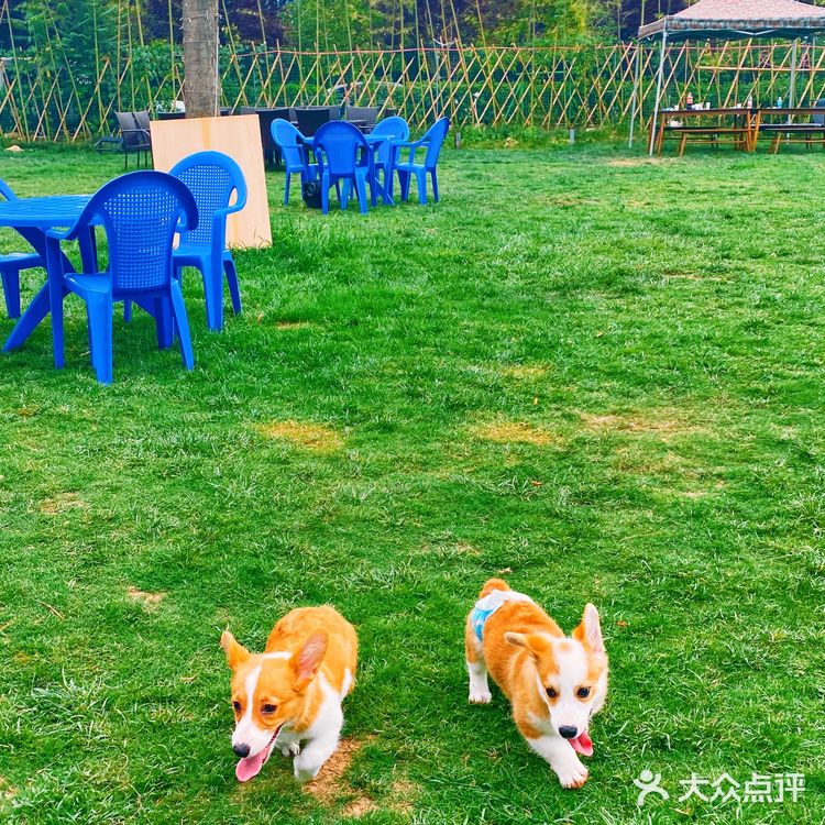 传说中的户外桃源还不错[胜利]