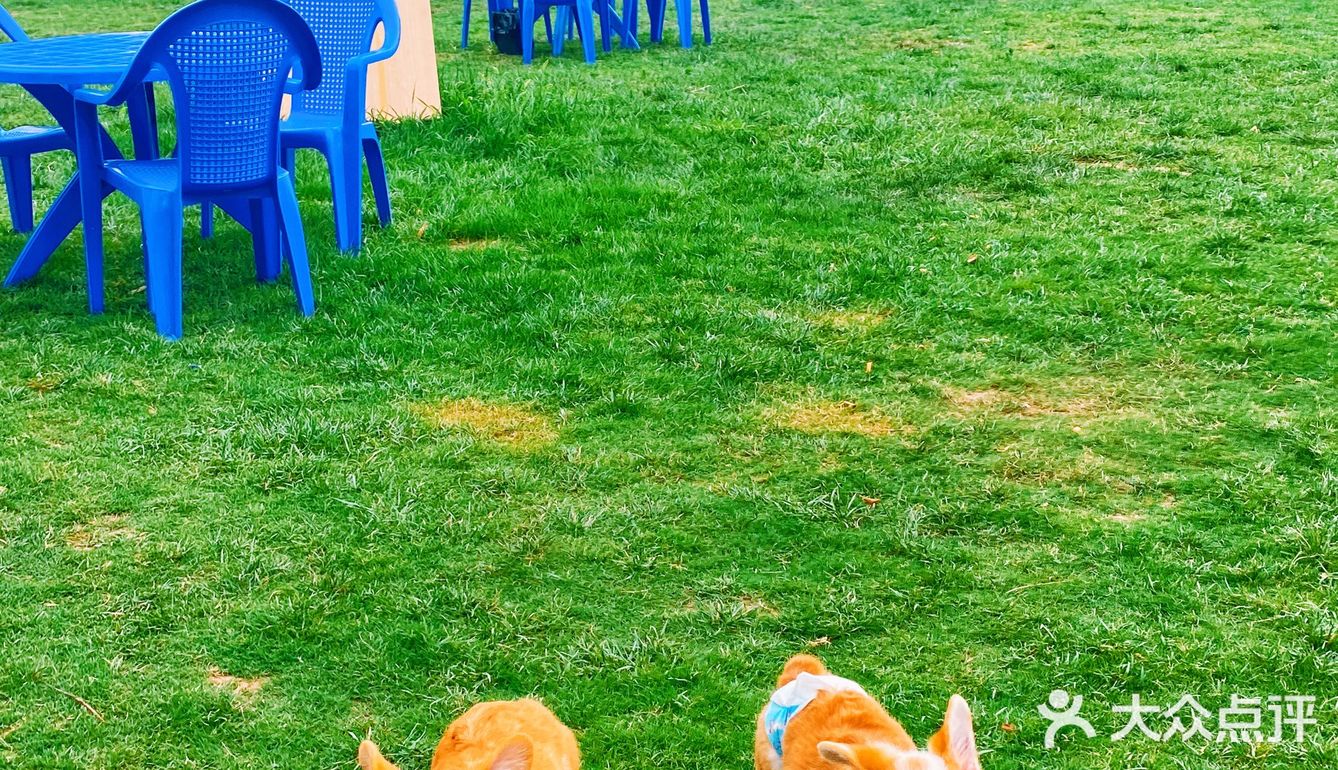 传说中的户外桃源还不错[胜利]