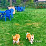 传说中的户外桃源还不错[胜利]