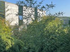 -苏州清山会议中心