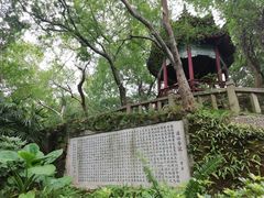 -乌山风景区
