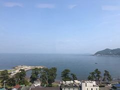 -伊豆观海列车