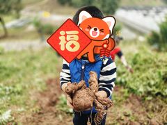 -宾果蒙特梭利托育儿童之家幼儿园(爱琴海店)