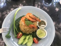 -Fern Forest Cafe