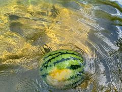 -大观园昆山峡漂流