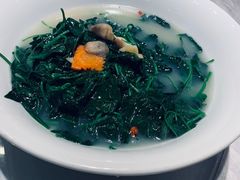 番薯叶-朱仔记食府(江南大道店)